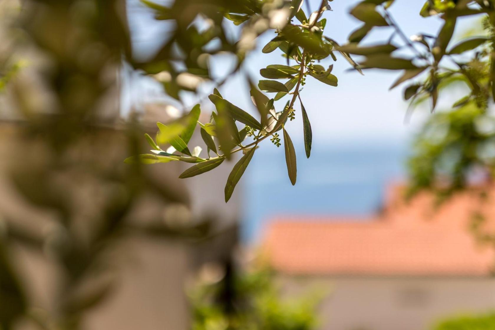 Apartments With A Parking Space Baska Voda, Makarska - 301 Экстерьер фото